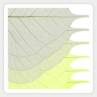 Yellow Leaves Sticker